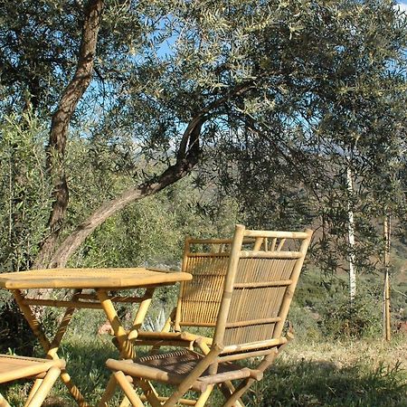 JINGTU Wellness&Spa B&B Comares Exterior foto