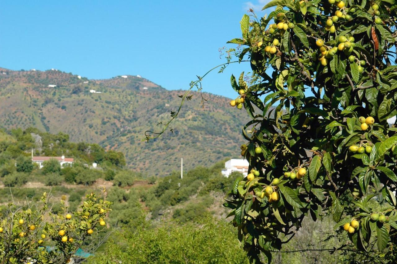 JINGTU Wellness&Spa B&B Comares Exterior foto