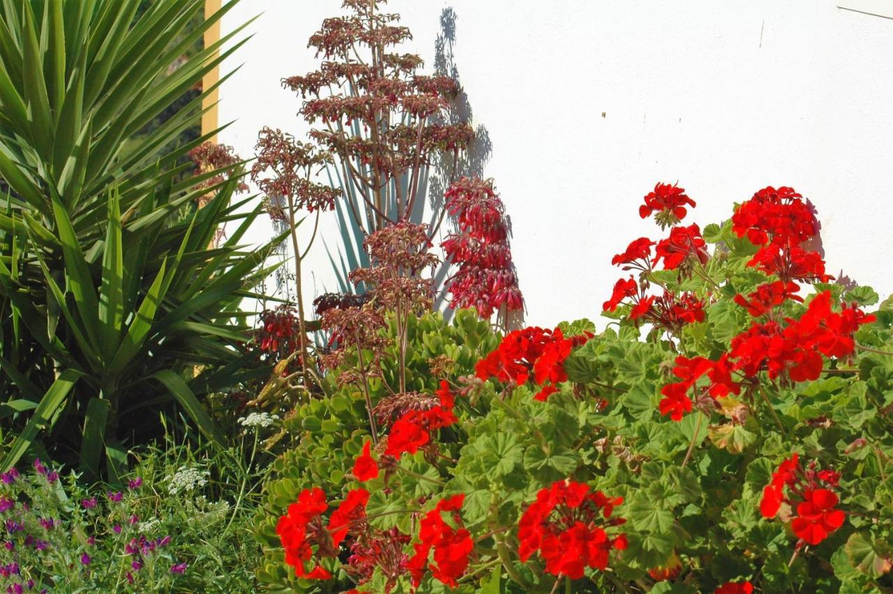 JINGTU Wellness&Spa B&B Comares Exterior foto